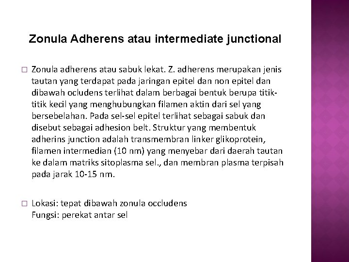 Zonula Adherens atau intermediate junctional � Zonula adherens atau sabuk lekat. Z. adherens merupakan Zonula Adherens atau intermediate junctional � Zonula adherens atau sabuk lekat. Z. adherens merupakan