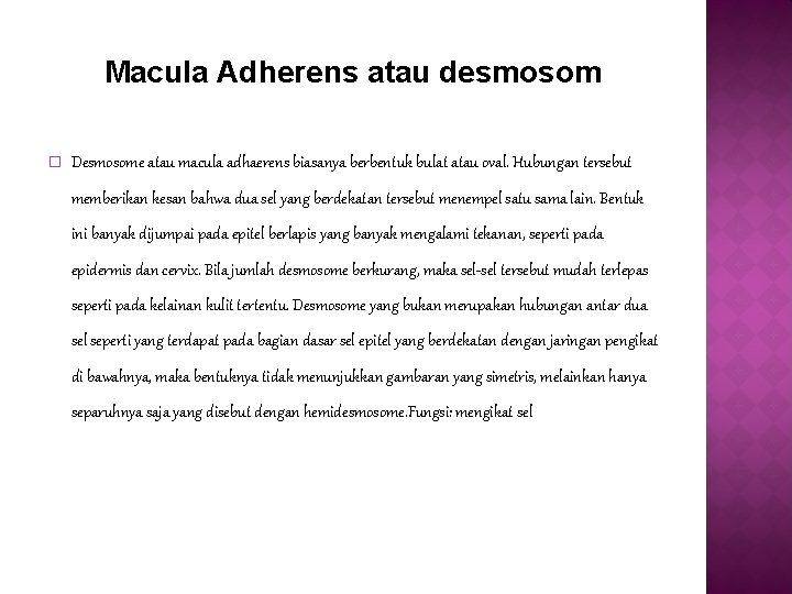 Macula Adherens atau desmosom � Desmosome atau macula adhaerens biasanya berbentuk bulat atau oval. Macula Adherens atau desmosom � Desmosome atau macula adhaerens biasanya berbentuk bulat atau oval.