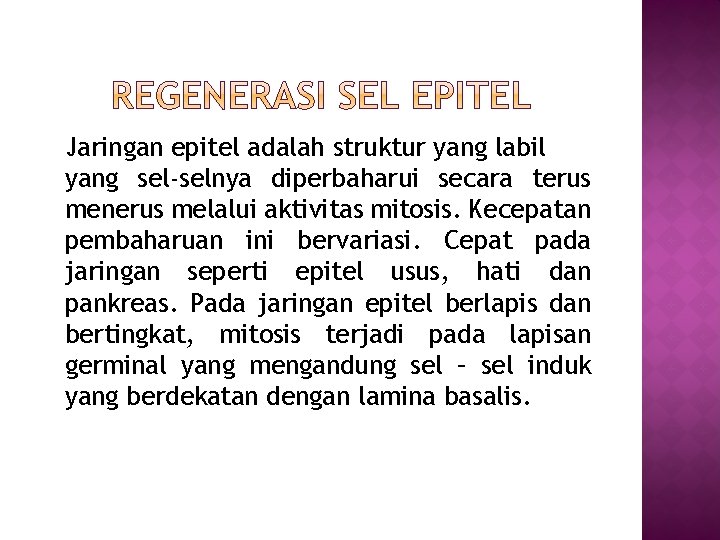 Jaringan epitel adalah struktur yang labil yang sel-selnya diperbaharui secara terus menerus melalui aktivitas Jaringan epitel adalah struktur yang labil yang sel-selnya diperbaharui secara terus menerus melalui aktivitas