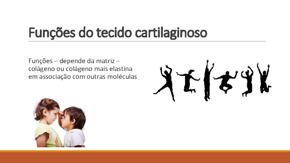 Funções do tecido cartilaginoso Funções – depende da matriz – colágeno ou colágeno mais