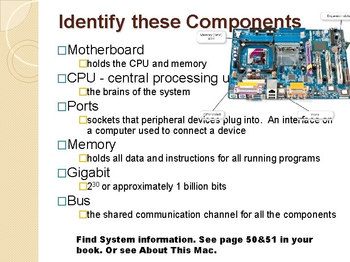 Identify these Components �Motherboard �holds the CPU and memory �CPU - central processing unit Identify these Components �Motherboard �holds the CPU and memory �CPU - central processing unit