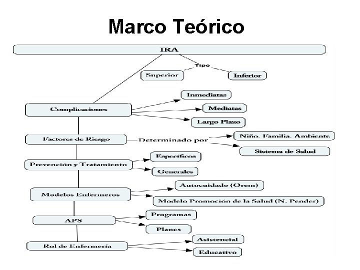 Marco Teórico 