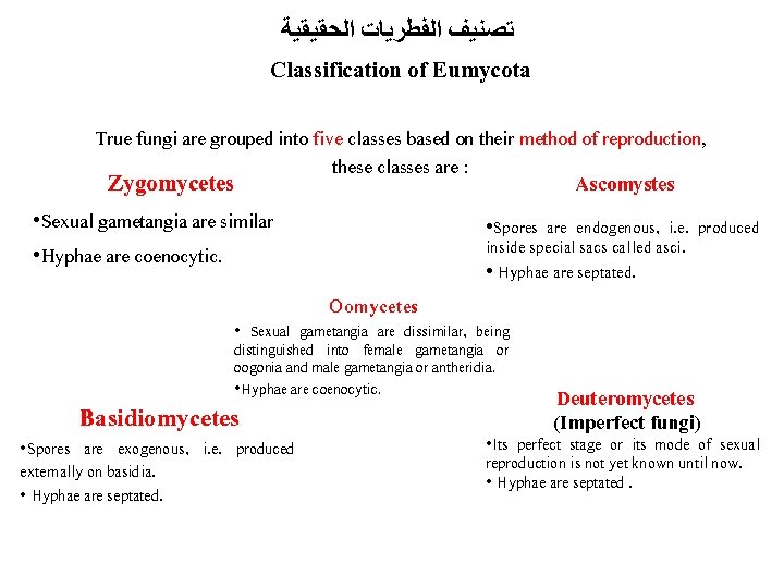  ﺗﺼﻨﻴﻒ ﺍﻟﻔﻄﺮﻳﺎﺕ ﺍﻟﺤﻘﻴﻘﻴﺔ Classification of Eumycota True fungi are grouped into five classes