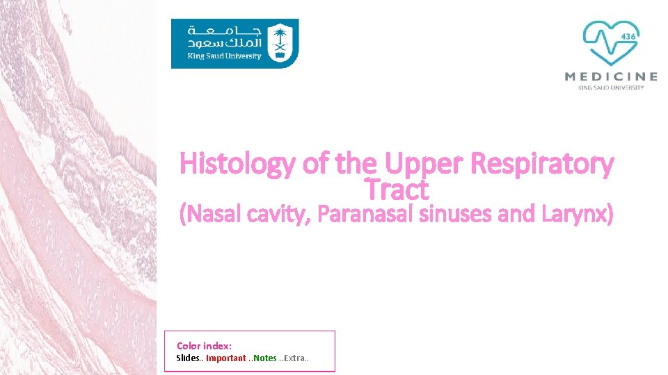 Histology of the Upper Respiratory Tract (Nasal cavity, Paranasal sinuses and Larynx) Color index: