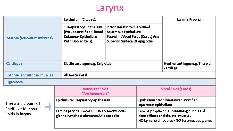 Larynx Epithelium (2 types): -Mucosa (Mucous membrane) 1. Respiratory Epithelium (Pseudostratified Ciliated Columnar Epithelium