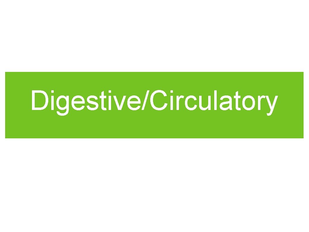 Digestive/Circulatory 