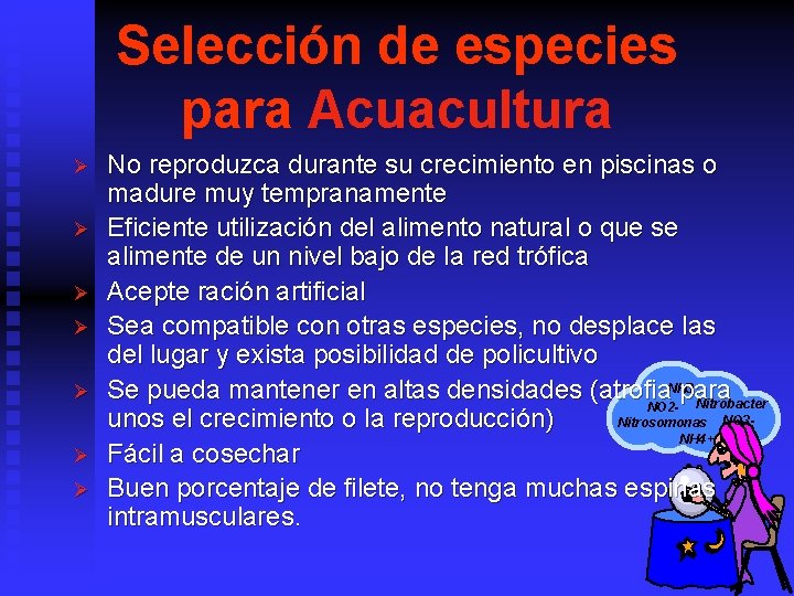 Selección de especies para Acuacultura Ø Ø Ø Ø No reproduzca durante su crecimiento