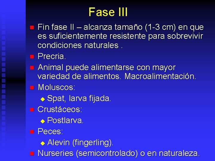 Fase III n n n n Fin fase II – alcanza tamaño (1 -3