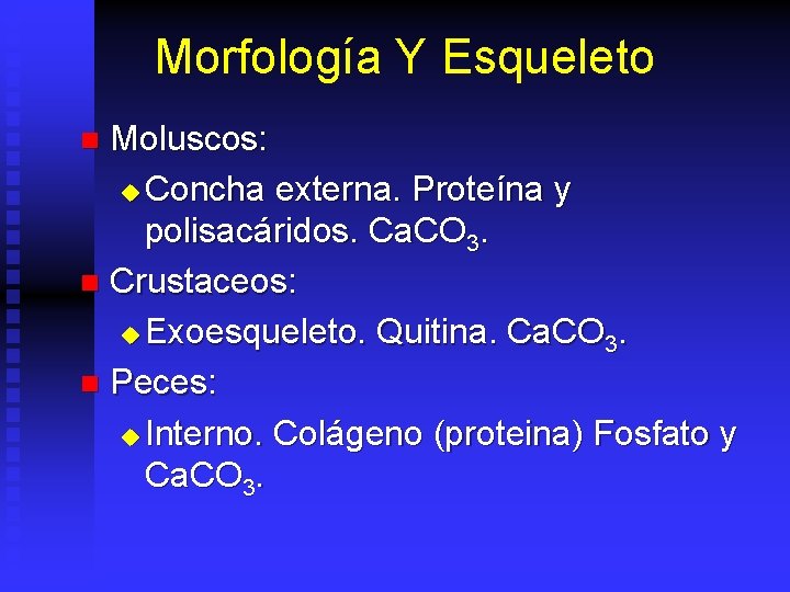 Morfología Y Esqueleto Moluscos: u Concha externa. Proteína y polisacáridos. Ca. CO 3. n