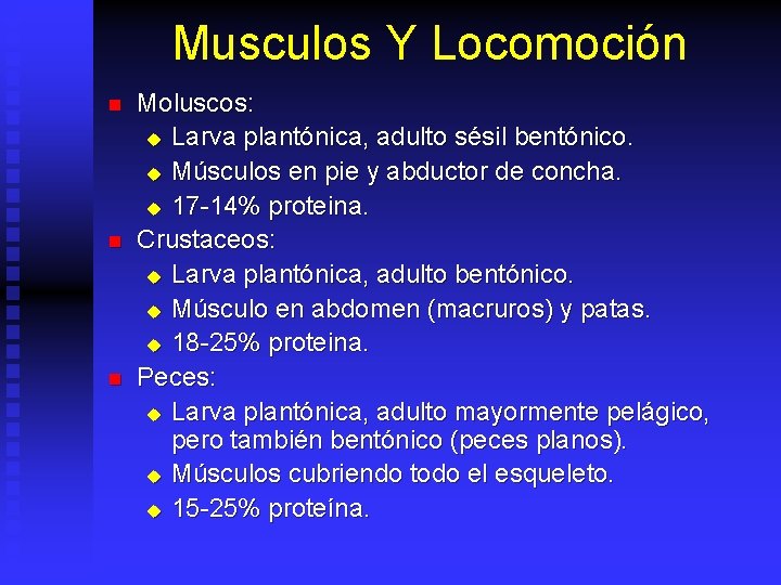 Musculos Y Locomoción n Moluscos: u Larva plantónica, adulto sésil bentónico. u Músculos en