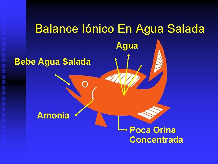 Balance Iónico En Agua Salada Agua Bebe Agua Salada Amonia Poca Orina Concentrada 