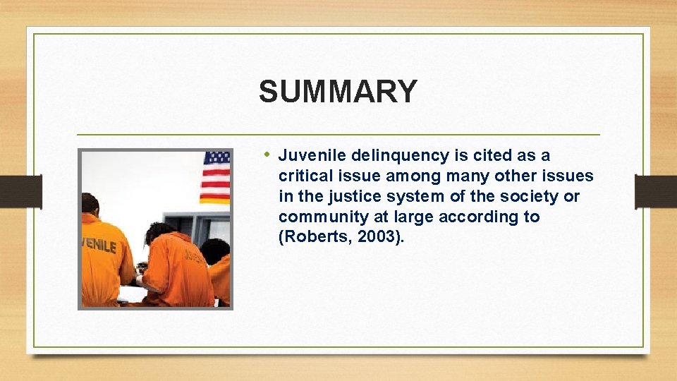 SUMMARY • Juvenile delinquency is cited as a critical issue among many other issues