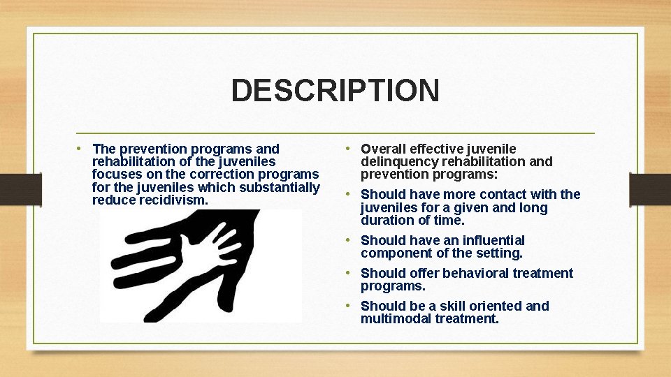 DESCRIPTION • The prevention programs and rehabilitation of the juveniles focuses on the correction