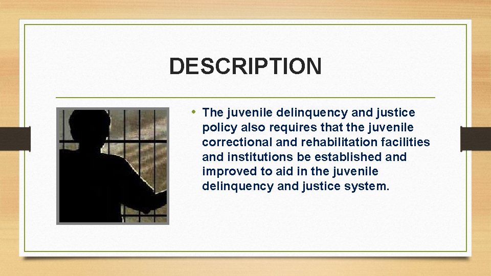 DESCRIPTION • The juvenile delinquency and justice policy also requires that the juvenile correctional