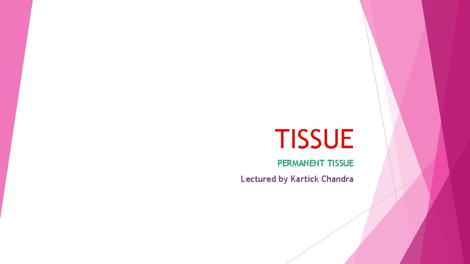 TISSUE PERMANENT TISSUE Lectured by Kartick Chandra 