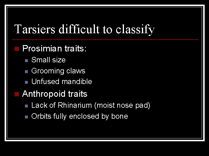 Tarsiers difficult to classify n Prosimian traits: n n Small size Grooming claws Unfused