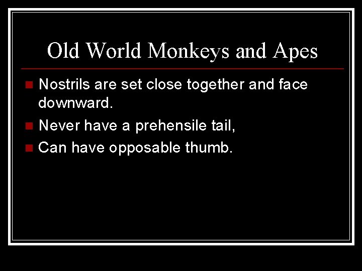 Old World Monkeys and Apes Nostrils are set close together and face downward. n