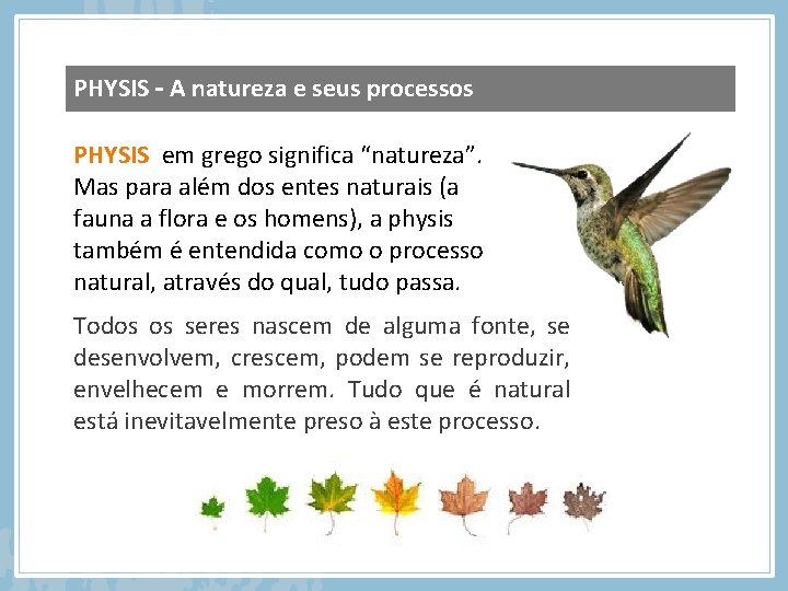 PHYSIS – A natureza e seus processos PHYSIS em grego significa “natureza”. Mas para