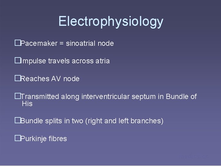 Electrophysiology �Pacemaker = sinoatrial node �Impulse travels across atria �Reaches AV node �Transmitted along