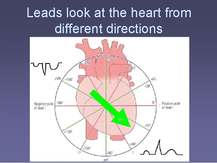 Leads look at the heart from different directions axis 