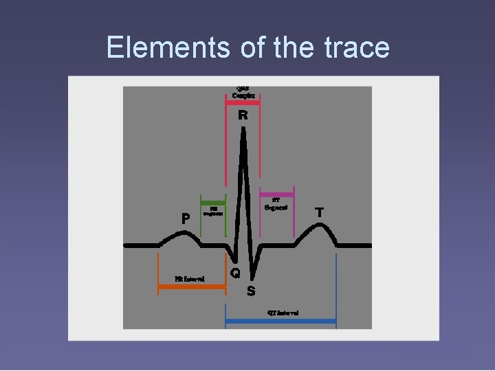 Elements of the trace medics. cc 