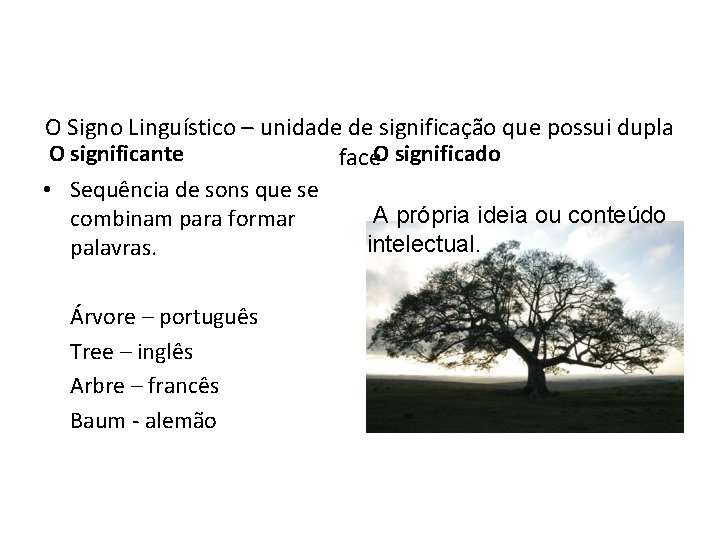 O Signo Linguístico – unidade de significação que possui dupla O significante face. O