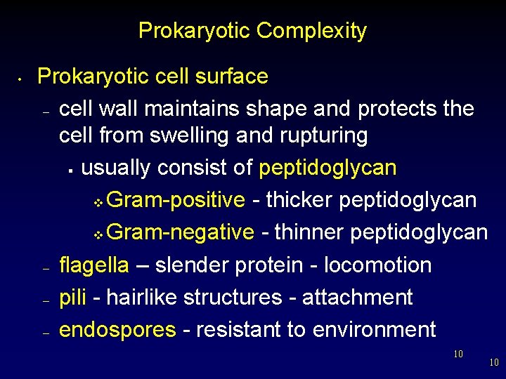 Prokaryotic Complexity • Prokaryotic cell surface – cell wall maintains shape and protects the