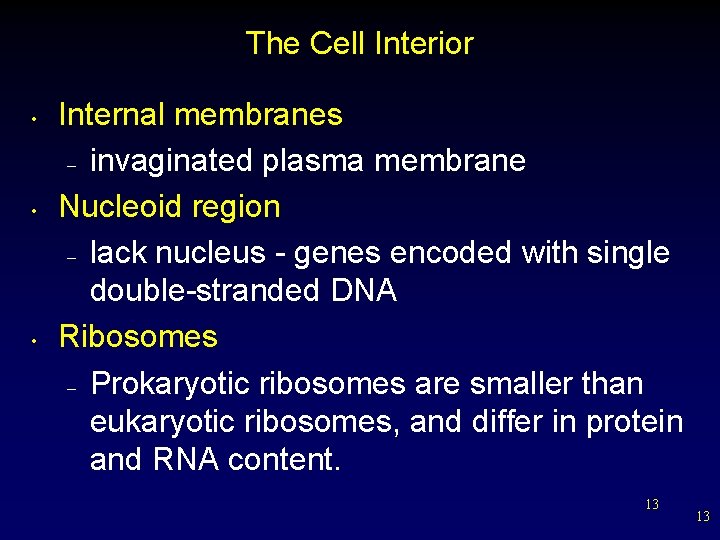 The Cell Interior • • • Internal membranes – invaginated plasma membrane Nucleoid region