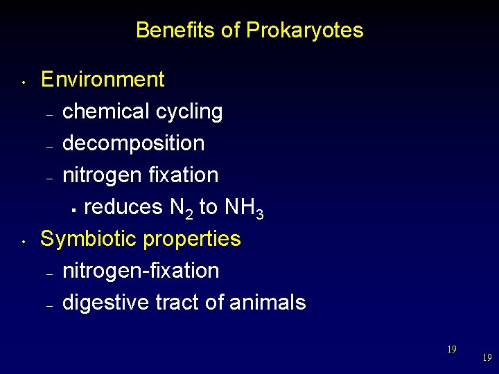 Benefits of Prokaryotes • • Environment – chemical cycling – decomposition – nitrogen fixation