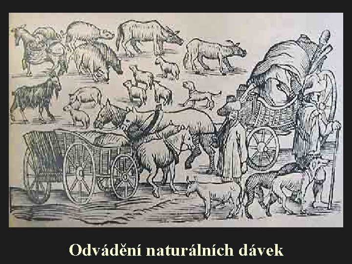 Odvádění naturálních dávek 