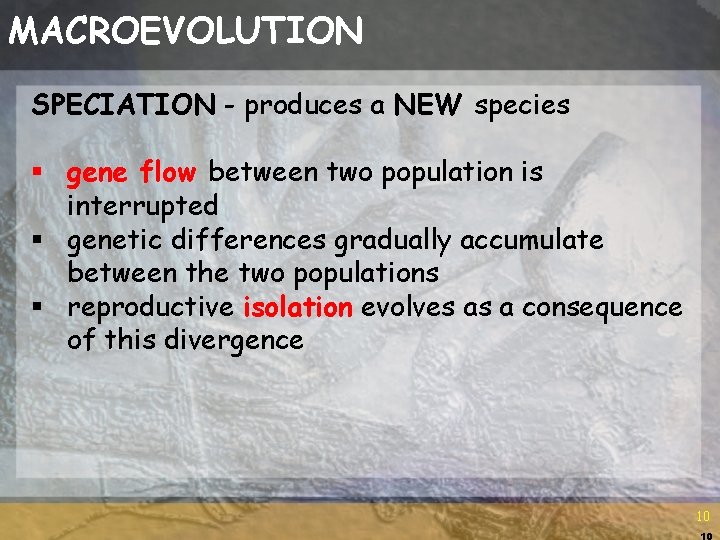 MACROEVOLUTION SPECIATION - produces a NEW species § gene flow between two population is