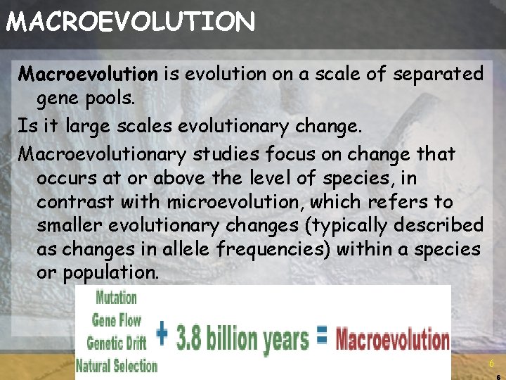 MACROEVOLUTION Macroevolution is evolution on a scale of separated gene pools. Is it large