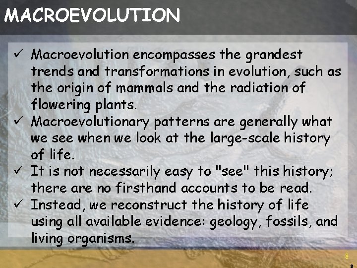 MACROEVOLUTION ü Macroevolution encompasses the grandest trends and transformations in evolution, such as the