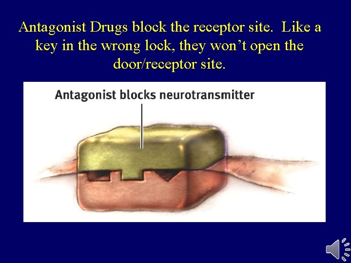 Antagonist Drugs block the receptor site. Like a key in the wrong lock, they