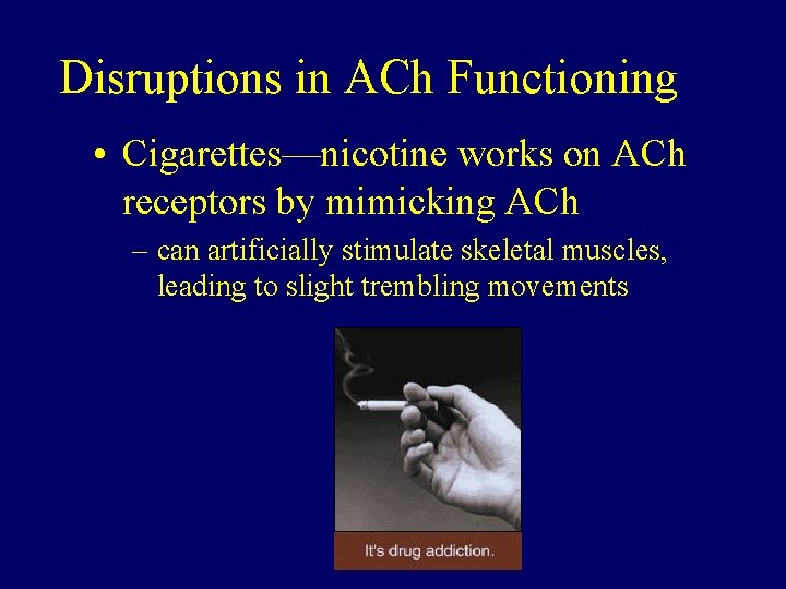 Disruptions in ACh Functioning • Cigarettes—nicotine works on ACh receptors by mimicking ACh –