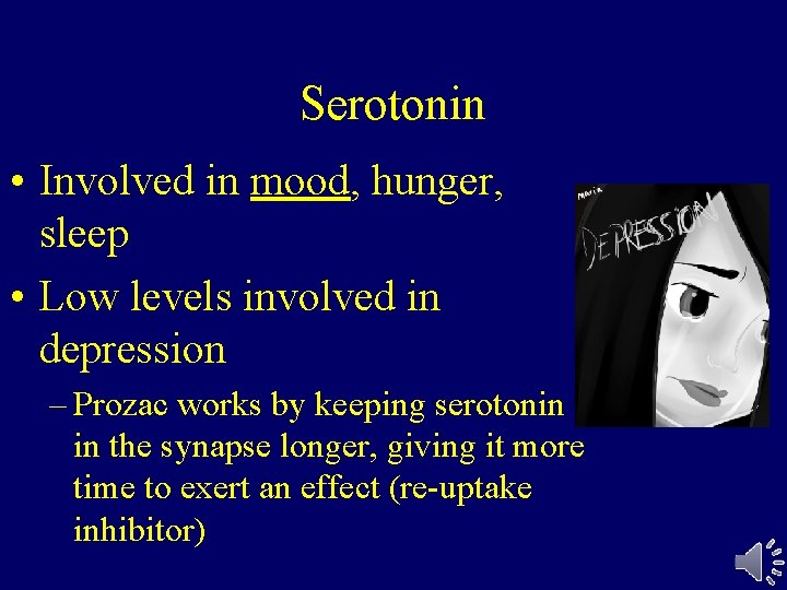 Serotonin • Involved in mood, hunger, sleep • Low levels involved in depression –