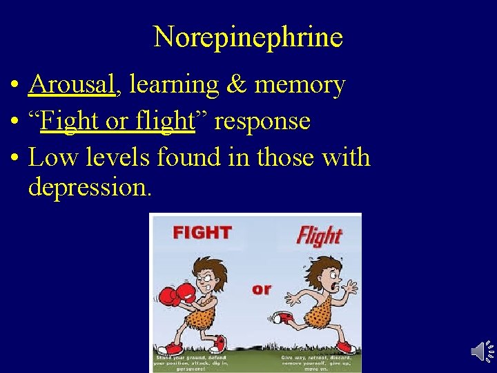 Norepinephrine • Arousal, learning & memory • “Fight or flight” response • Low levels