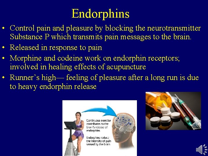 Endorphins • Control pain and pleasure by blocking the neurotransmitter Substance P which transmits