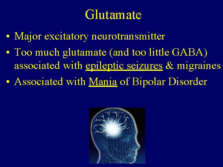 Glutamate • Major excitatory neurotransmitter • Too much glutamate (and too little GABA) associated