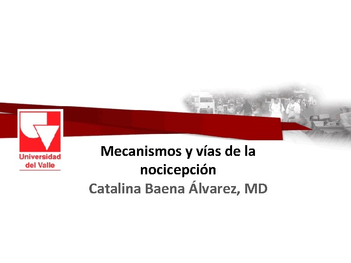 Mecanismos y vías de la nocicepción Catalina Baena Álvarez, MD 