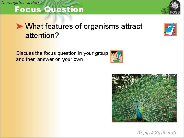 Investigation 4, Part 2 Focus Question What features of organisms attract attention? Discuss the