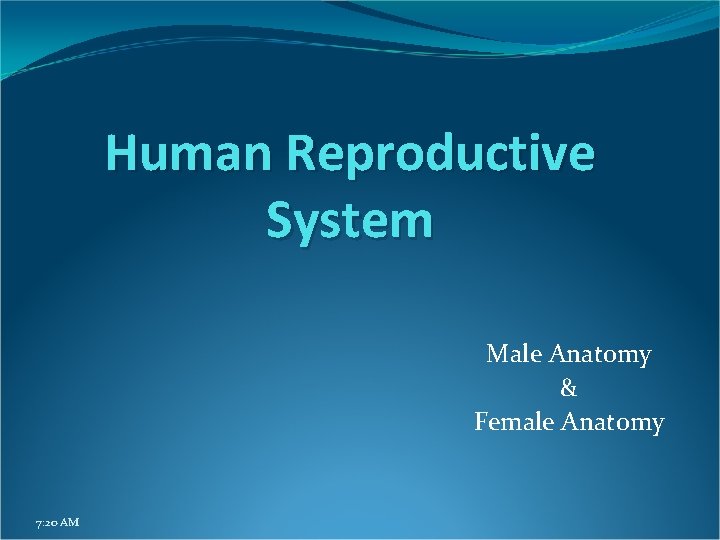 Human Reproductive System Male Anatomy & Female Anatomy 7: 20 AM 