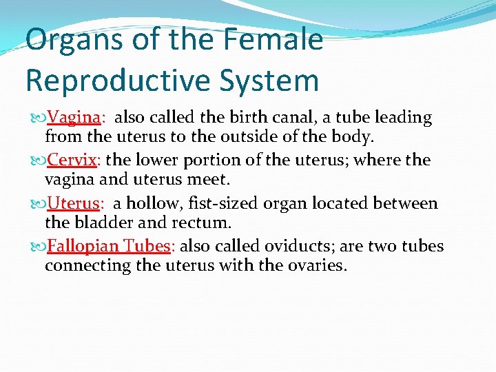 Organs of the Female Reproductive System Vagina: also called the birth canal, a tube