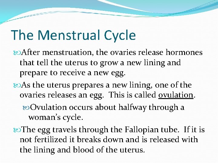 The Menstrual Cycle After menstruation, the ovaries release hormones that tell the uterus to