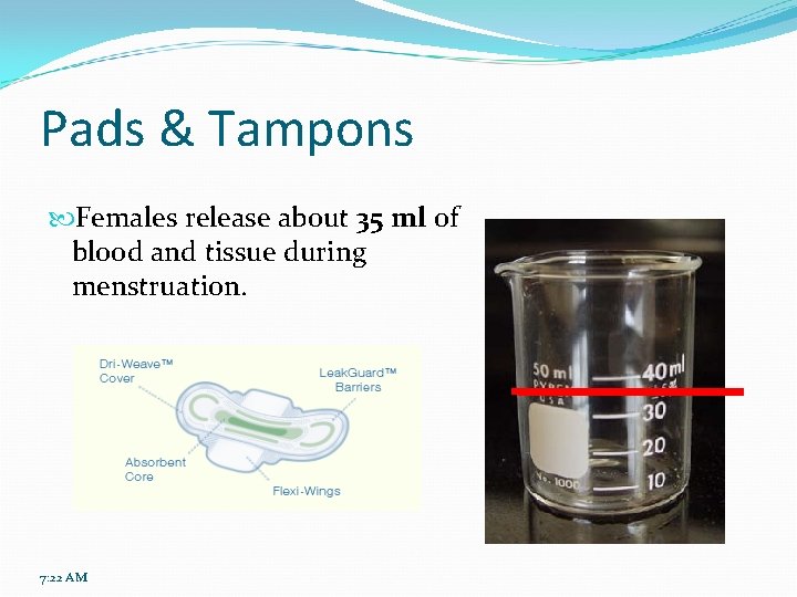 Pads & Tampons Females release about 35 ml of blood and tissue during menstruation.