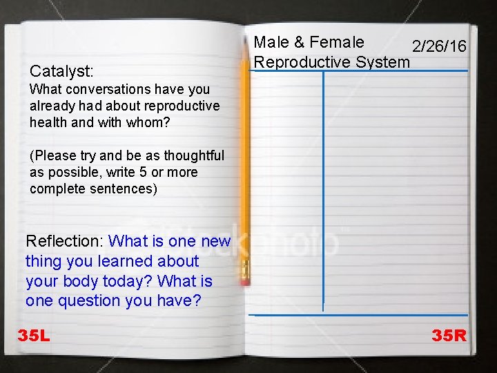 Male & Female 2/26/16 Reproductive System Catalyst: What conversations have you already had about