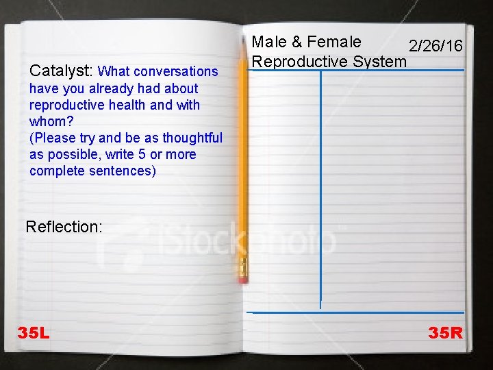 Catalyst: What conversations Male & Female 2/26/16 Reproductive System have you already had about