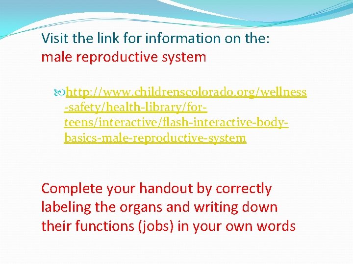 Visit the link for information on the: male reproductive system http: //www. childrenscolorado. org/wellness