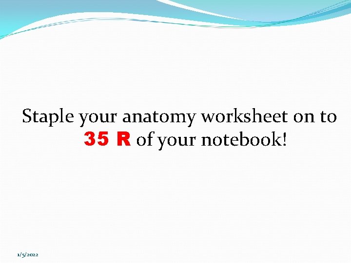 Staple your anatomy worksheet on to 35 R of your notebook! 1/5/2022 