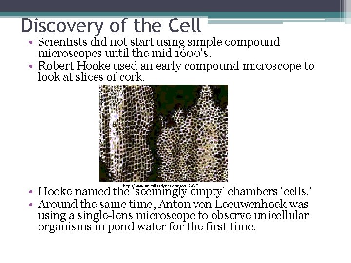 Discovery of the Cell • Scientists did not start using simple compound microscopes until